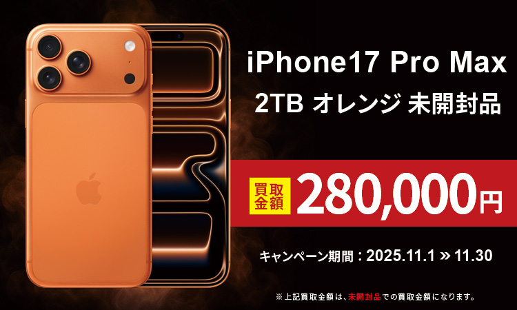 11月月間企画_SP